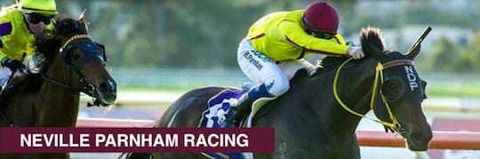 Parnham Racing Stables