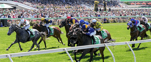 Toward Reward Thoroughbreds