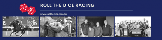 Roll The Dice Racing 
