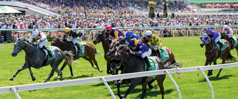 Toward Reward Thoroughbreds