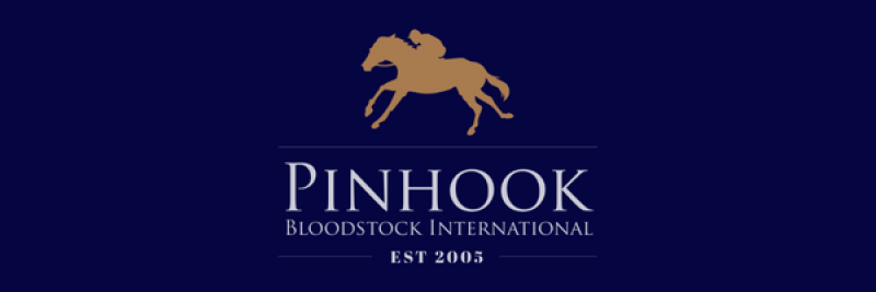 Pinhook Bloodstock International