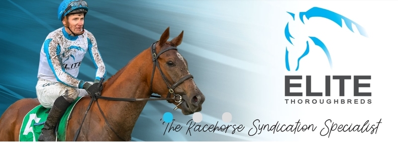 Elite Thoroughbreds Pty Ltd