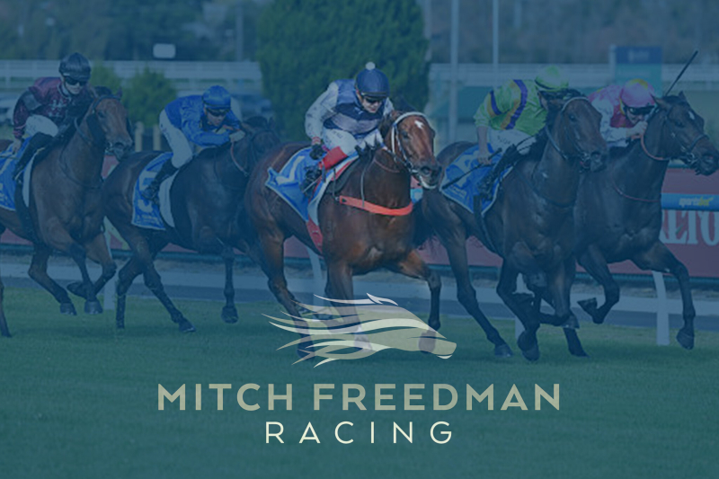 Mitch Freedman Racing
