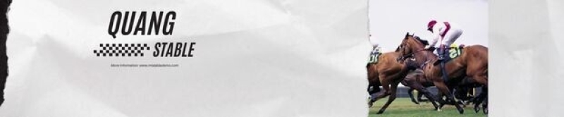 MiStable Thoroughbred Training | TEST